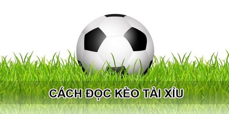 Tài xỉu bóng đá - Chiến thuật đỉnh cao để chiến thắng lớn 2 Hướng dẫn đọc kèo chi tiết